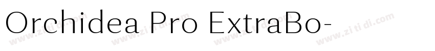 Orchidea Pro ExtraBo字体转换
